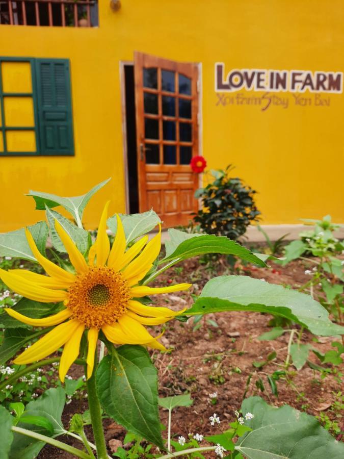 Xoi Farmstay - Eco Homestay Luc Yen Yen Bai Luaran gambar