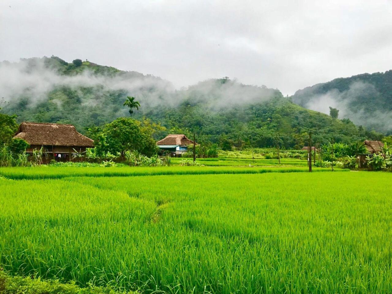 Xoi Farmstay - Eco Homestay Luc Yen Yen Bai Luaran gambar