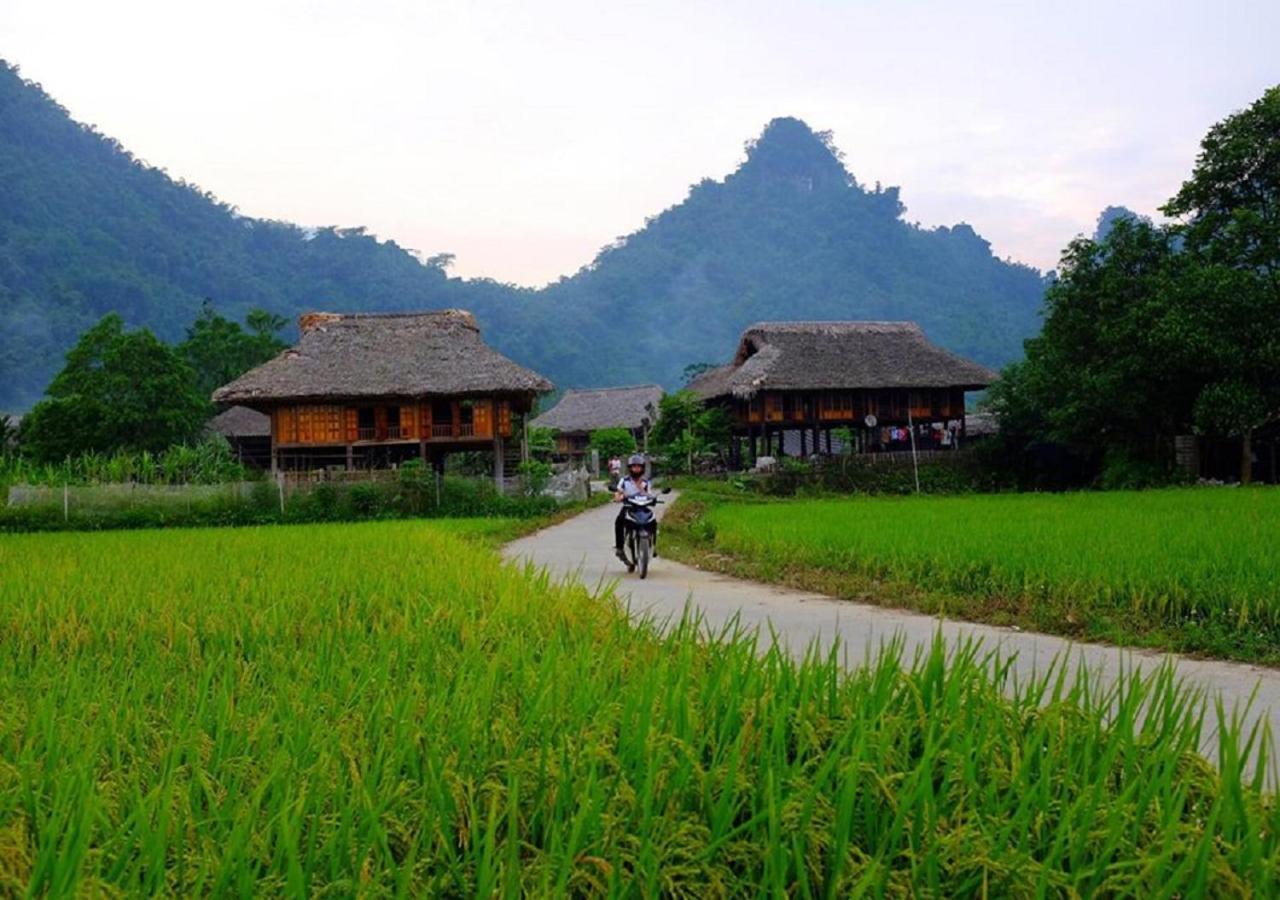 Xoi Farmstay - Eco Homestay Luc Yen Yen Bai Luaran gambar