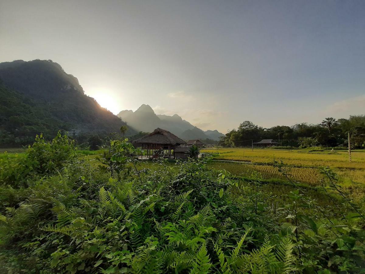 Xoi Farmstay - Eco Homestay Luc Yen Yen Bai Luaran gambar